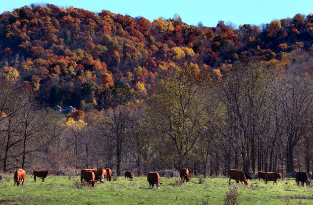 Vernon County